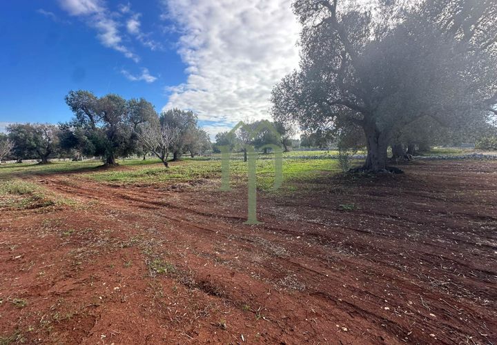 Terra a Carovigno, Brindisi, Carovigno - € 30.000 | Ref: Terreno Prete - foto 1